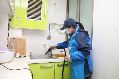 上海家政业复工潮 住家保姆紧俏，钟点工竞争激烈，专业保洁待发掘